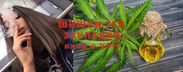 прущие грибы Нефтегорск